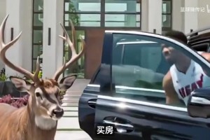 字母哥迈阿密豪宅曝光！1350万砍到“友情价”，对面是希罗家